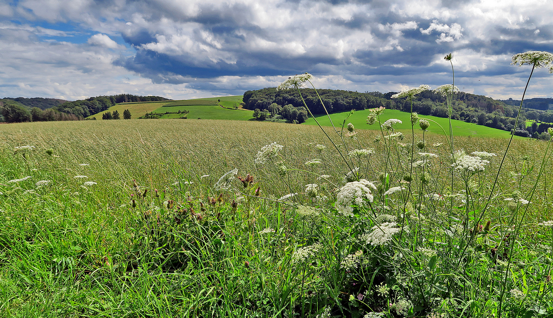 Blick ins Bergische Land