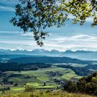 Blick ins Berner Oberland