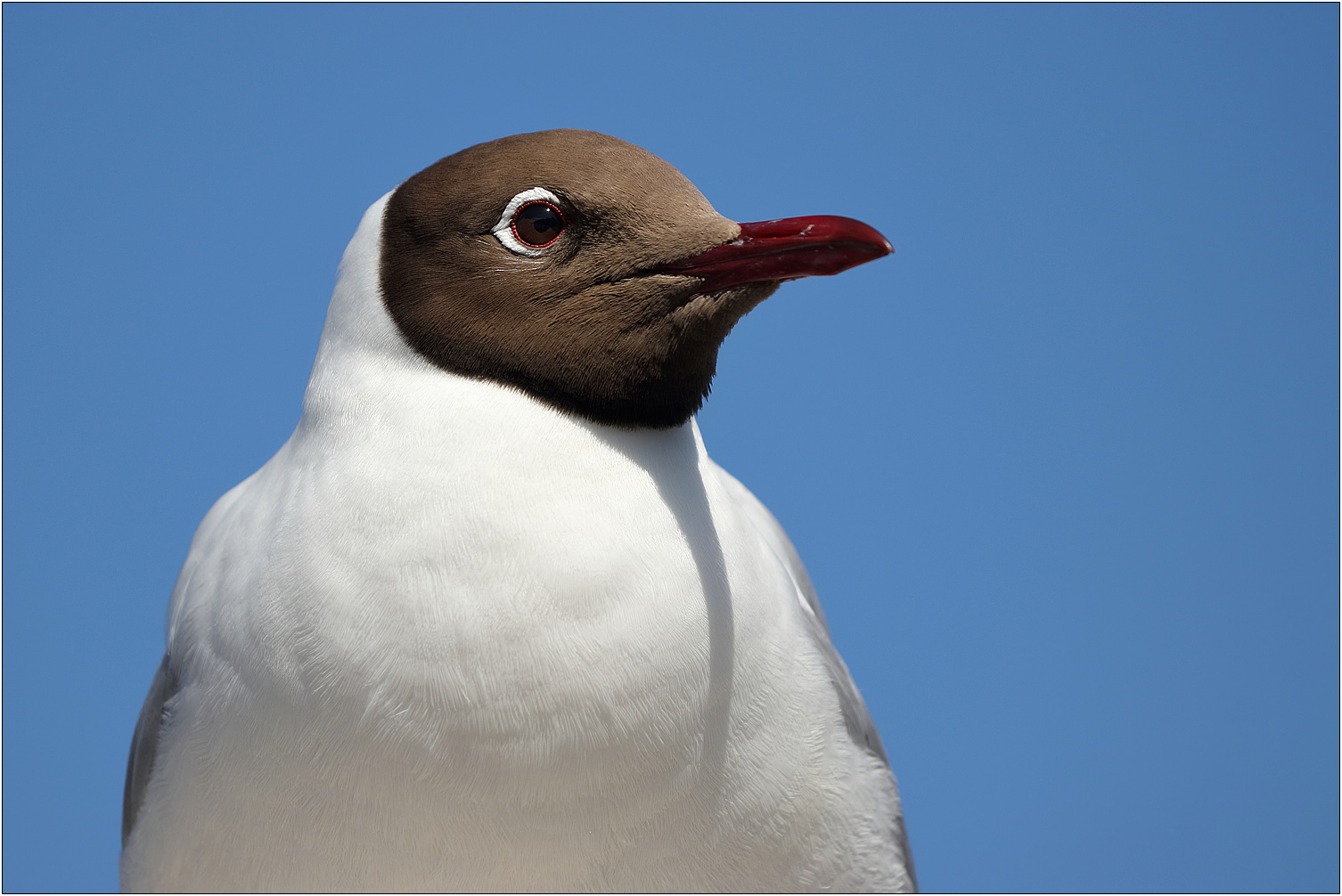 Blick in´s Blaue...