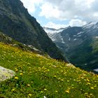 Blick ins Brunital ,Maderanertal