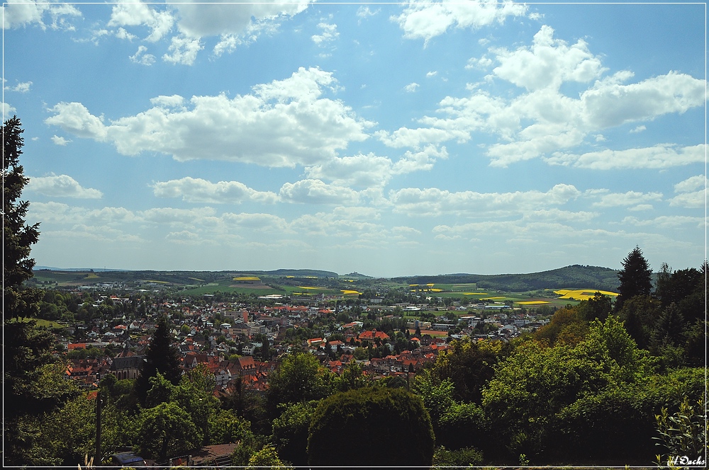 Blick ins Büdinger Land