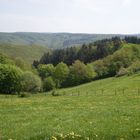 Blick ins bzw. übers Wispertal