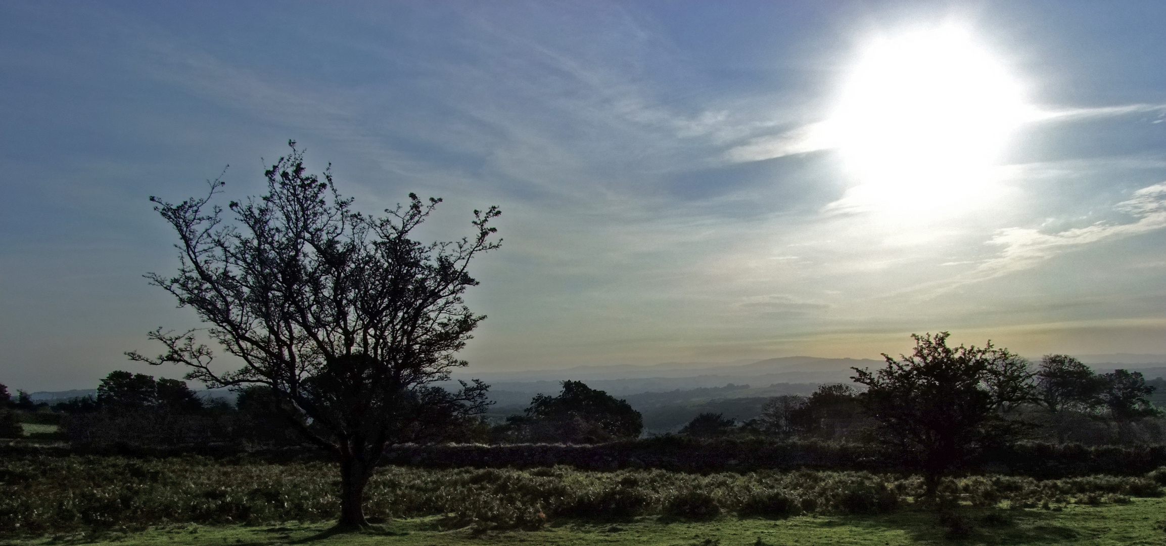 Blick ins Dartmoor