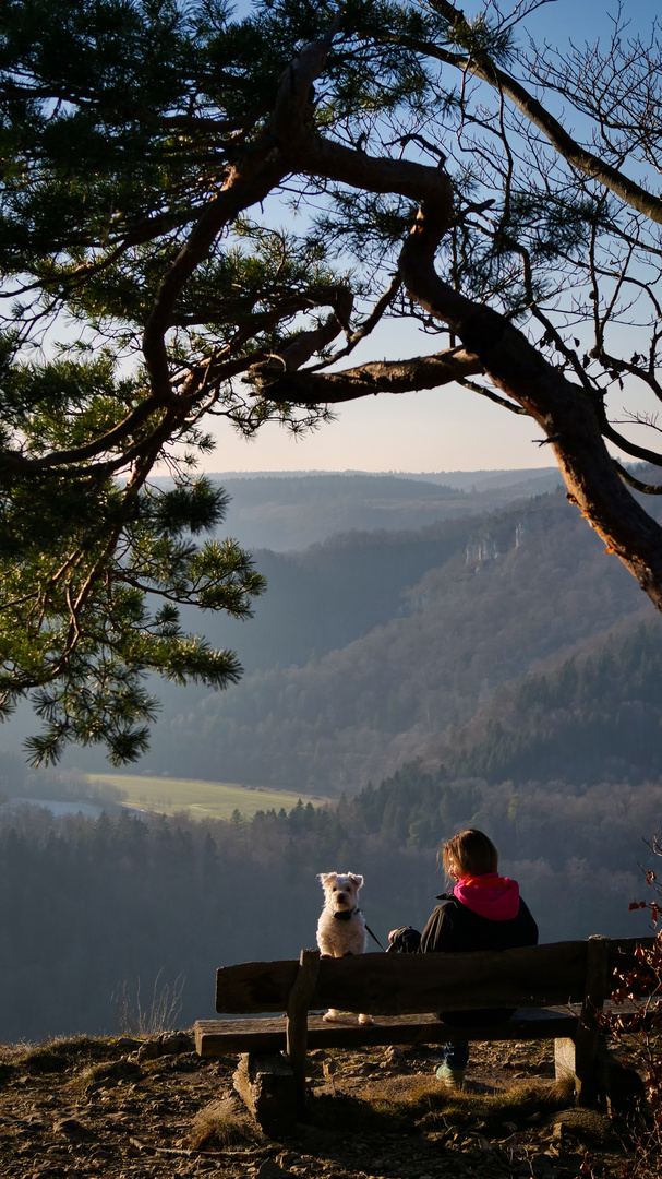 Blick ins Donautal