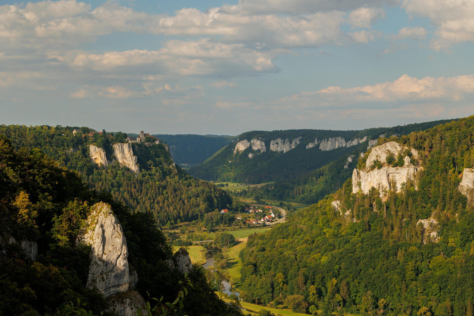 Blick ins Donautal - Eichfelsen