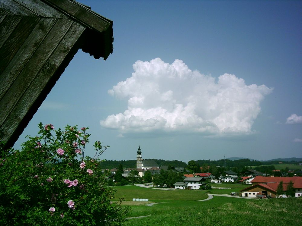 Blick ins Dorf von Johann Haslauer