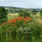 Blick ins Dorf 