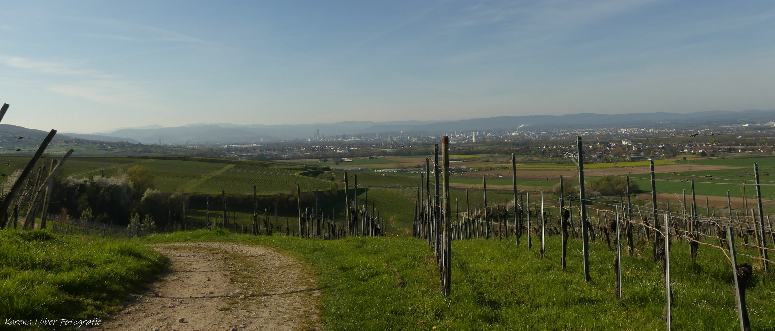 Blick ins Dreiland (Basel/Lörrach/Elsaß)