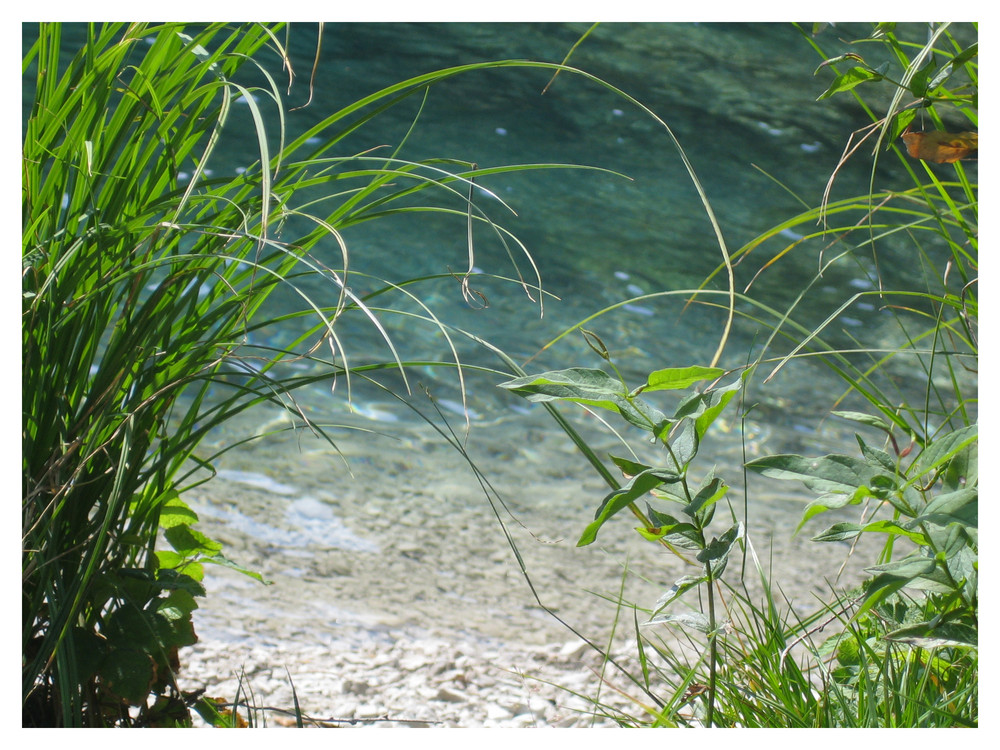 Blick ins eiskalte Wasser