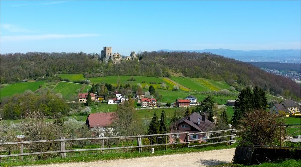 Blick ins Elsass