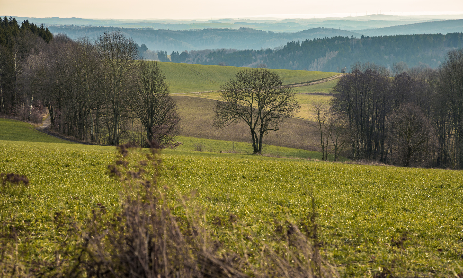 Blick ins Erzgebirge