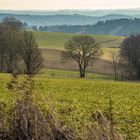 Blick ins Erzgebirge