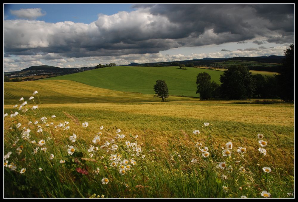 Blick ins Erzgebirge