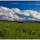 Blick in´s Erzgebirge