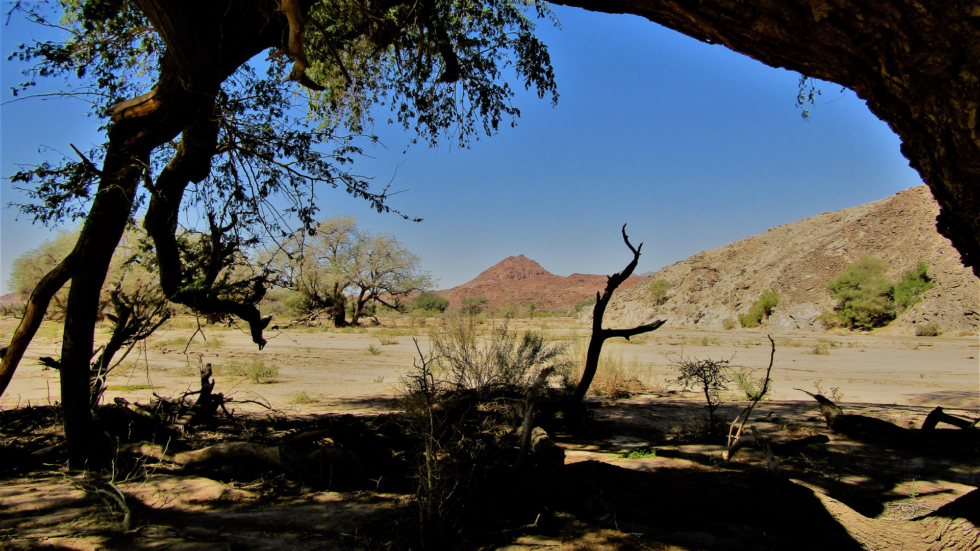 Blick ins ewige Blau des Namibiahimmels