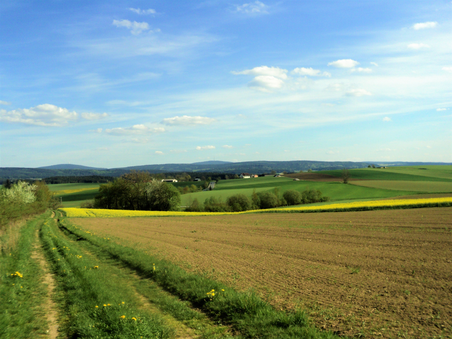 Blick ins Fichtelgebirge 9.5.16