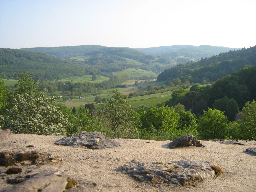 Blick ins Fischbachtal