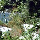 Blick ins Flussbett