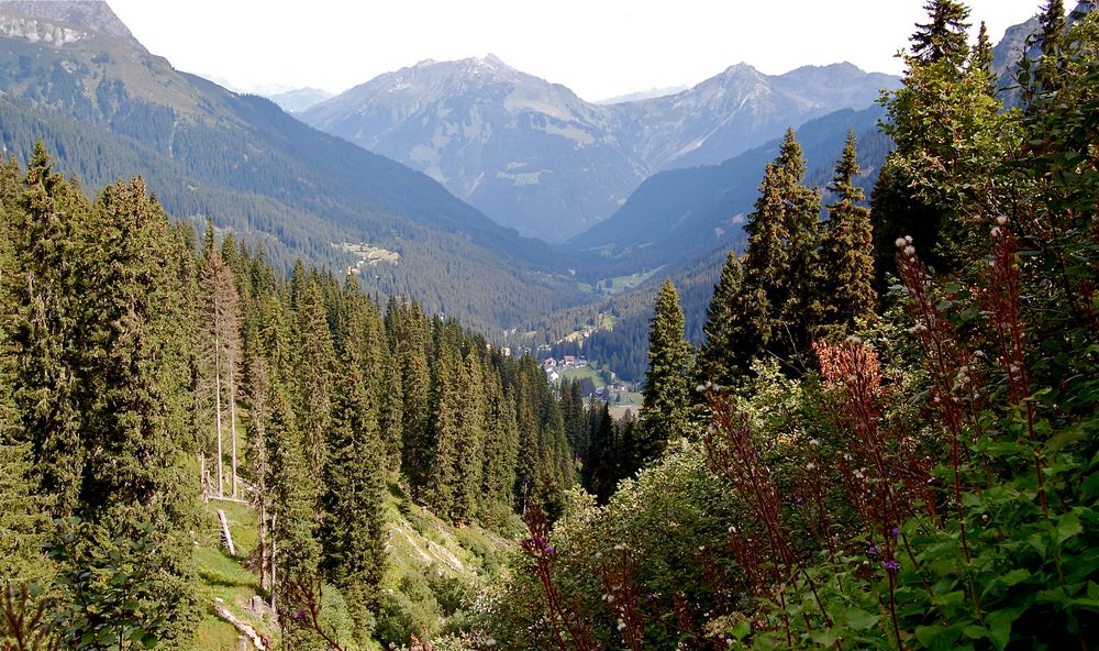 Blick ins Gargellental