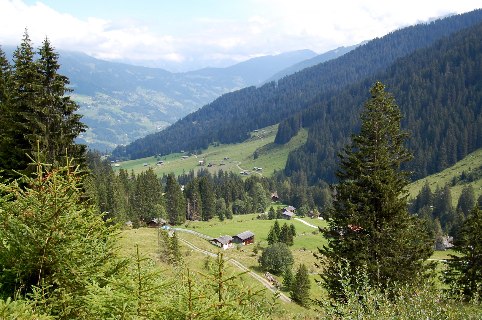 Blick ins Gauertal…