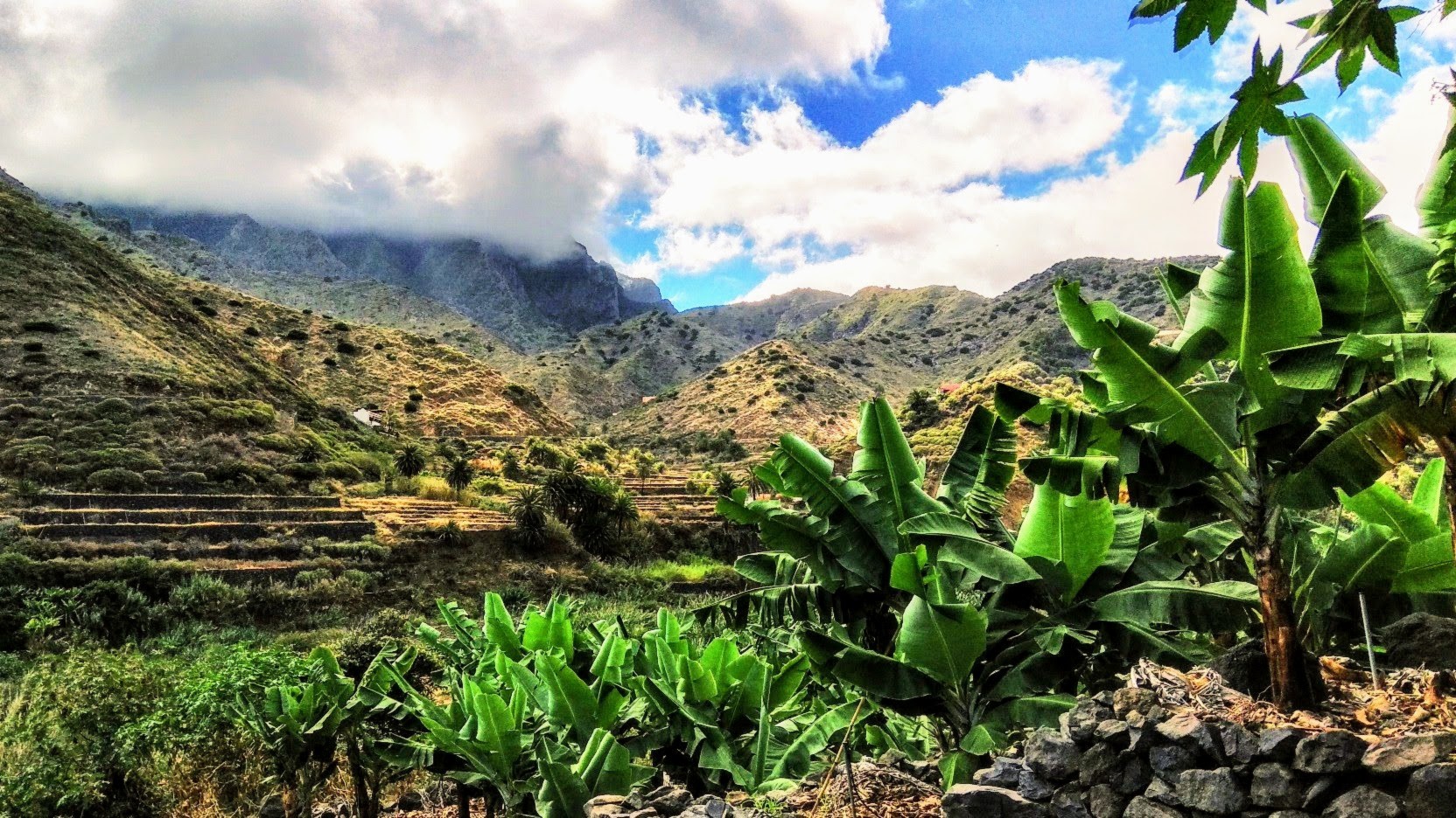 Blick ins Gebirge - Hermigua, La Gomera