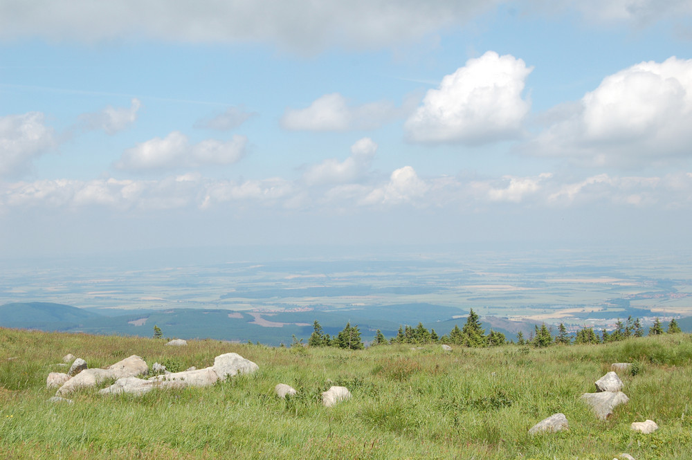 Blick ins gelobte Land