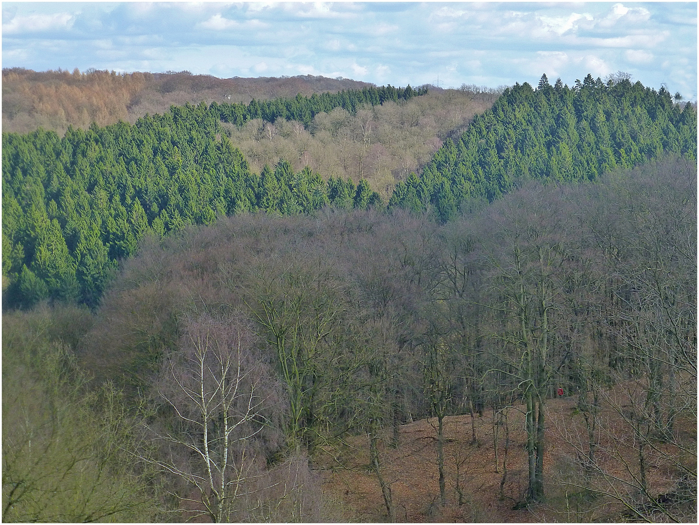 Blick ins Gelpetal - Wuppertal-Cronenberg