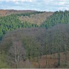 Blick ins Gelpetal - Wuppertal-Cronenberg