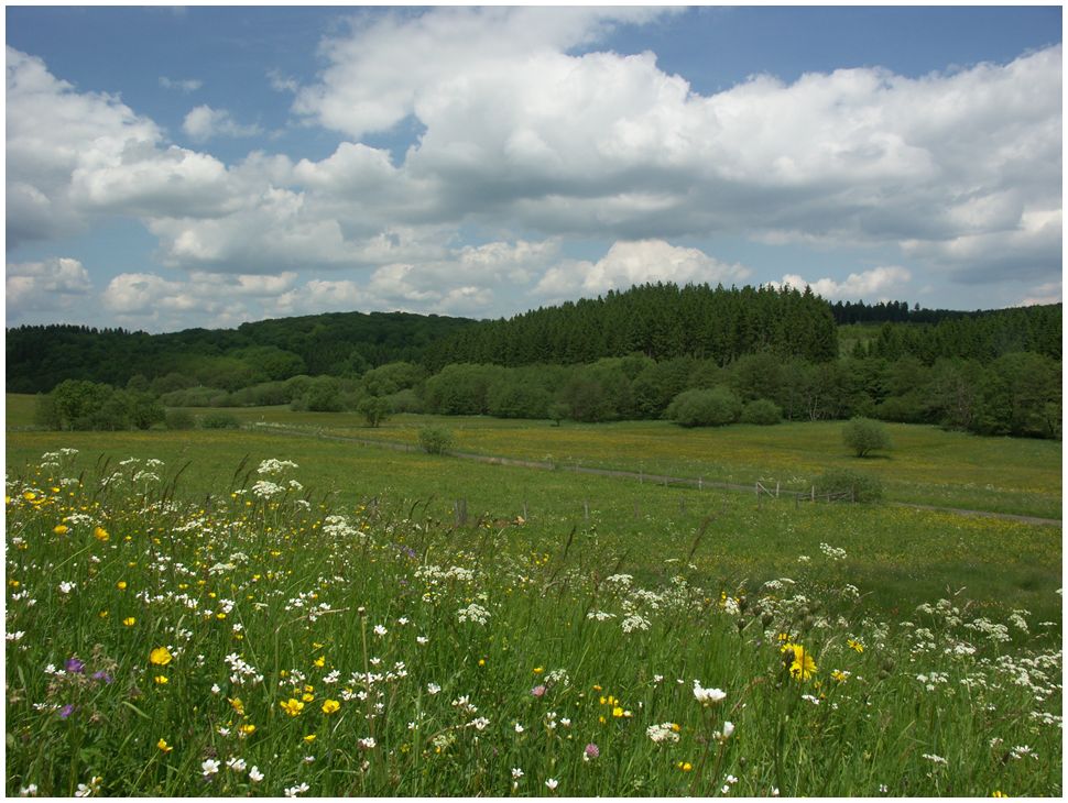 Blick ins Genfbachtal