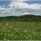 Blick ins Genfbachtal