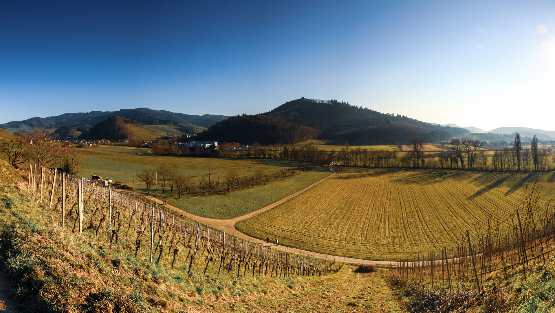 Blick ins Glottertal im Schwarzwald