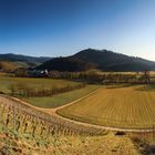 Blick ins Glottertal im Schwarzwald