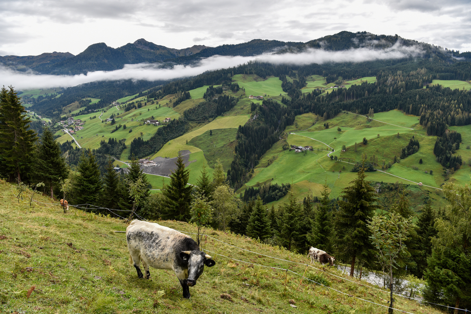 Blick ins Großarltal 01