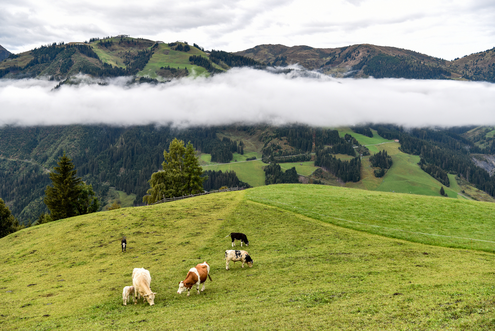 Blick ins Großarltal 03