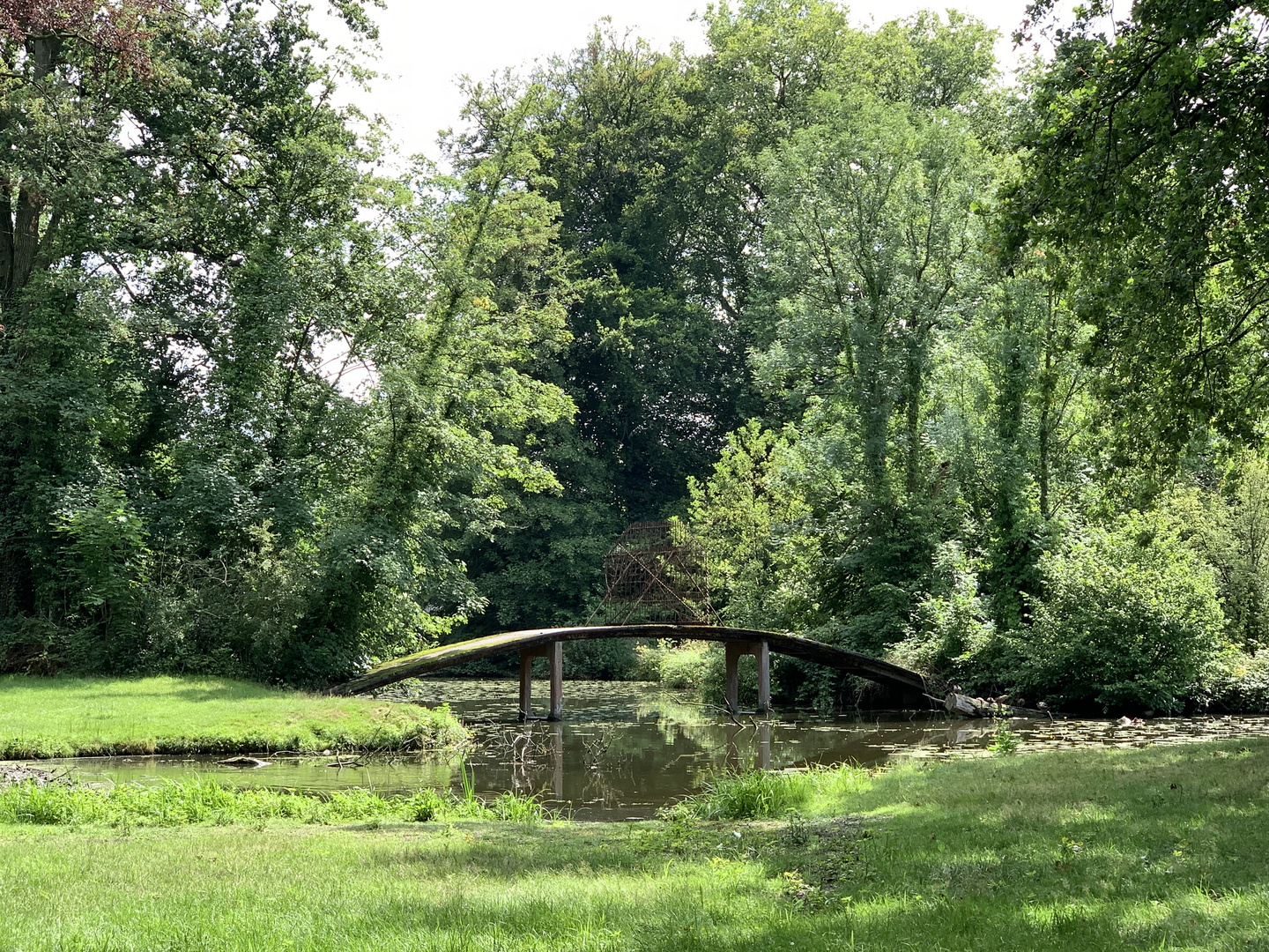 Blick ins Grüne