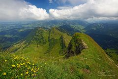 Blick ins Grüne