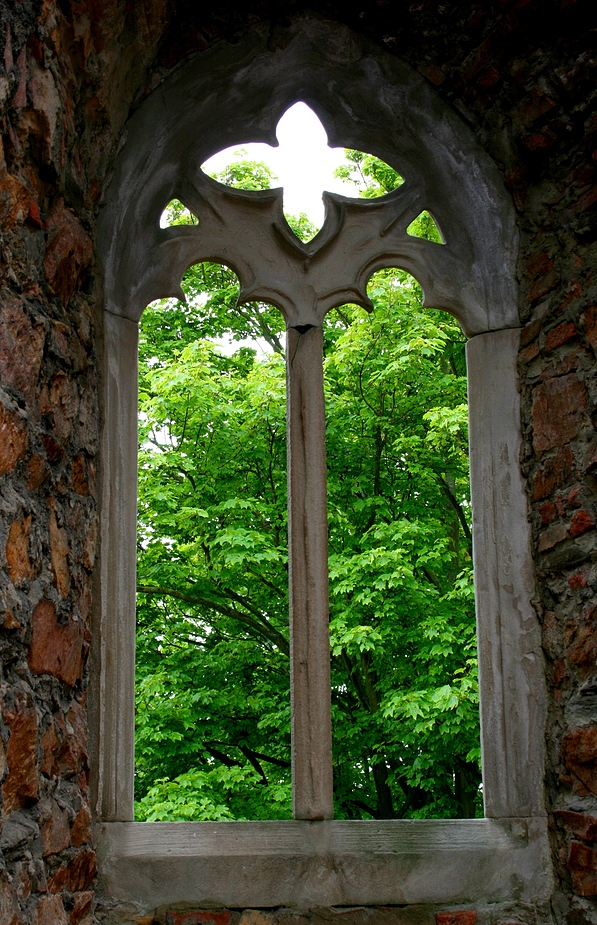 Blick ins Grüne