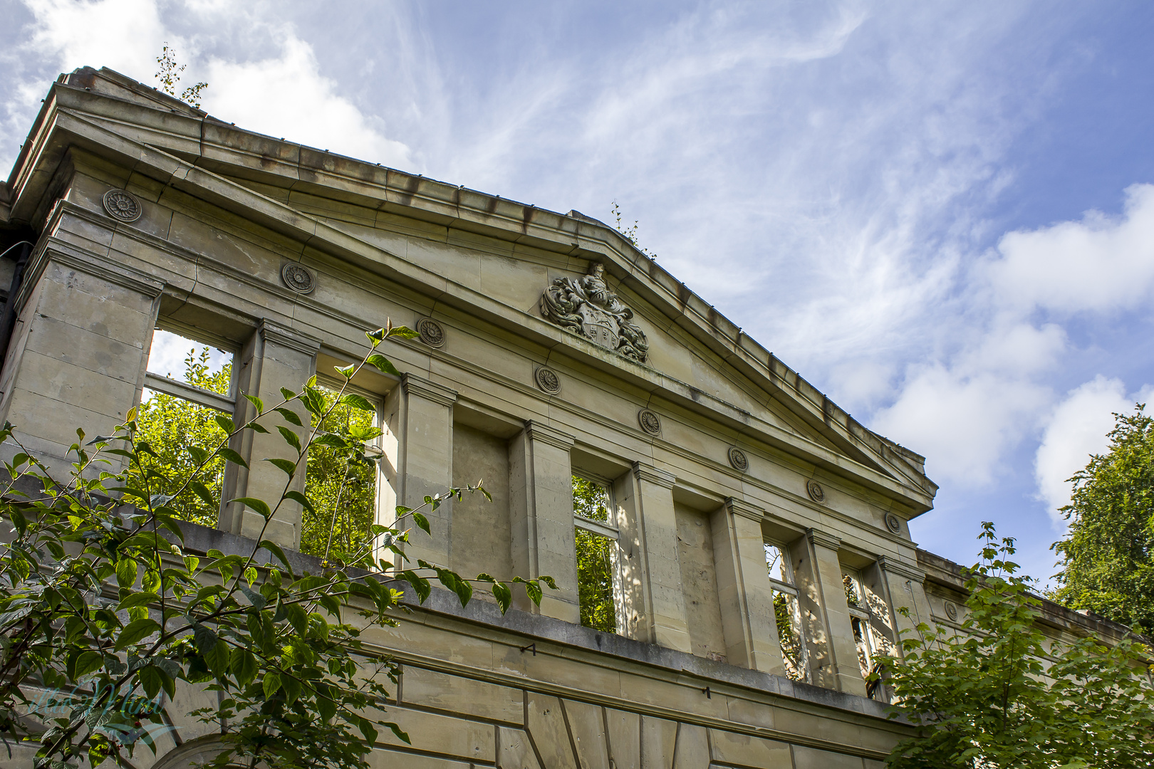 Blick ins Grüne