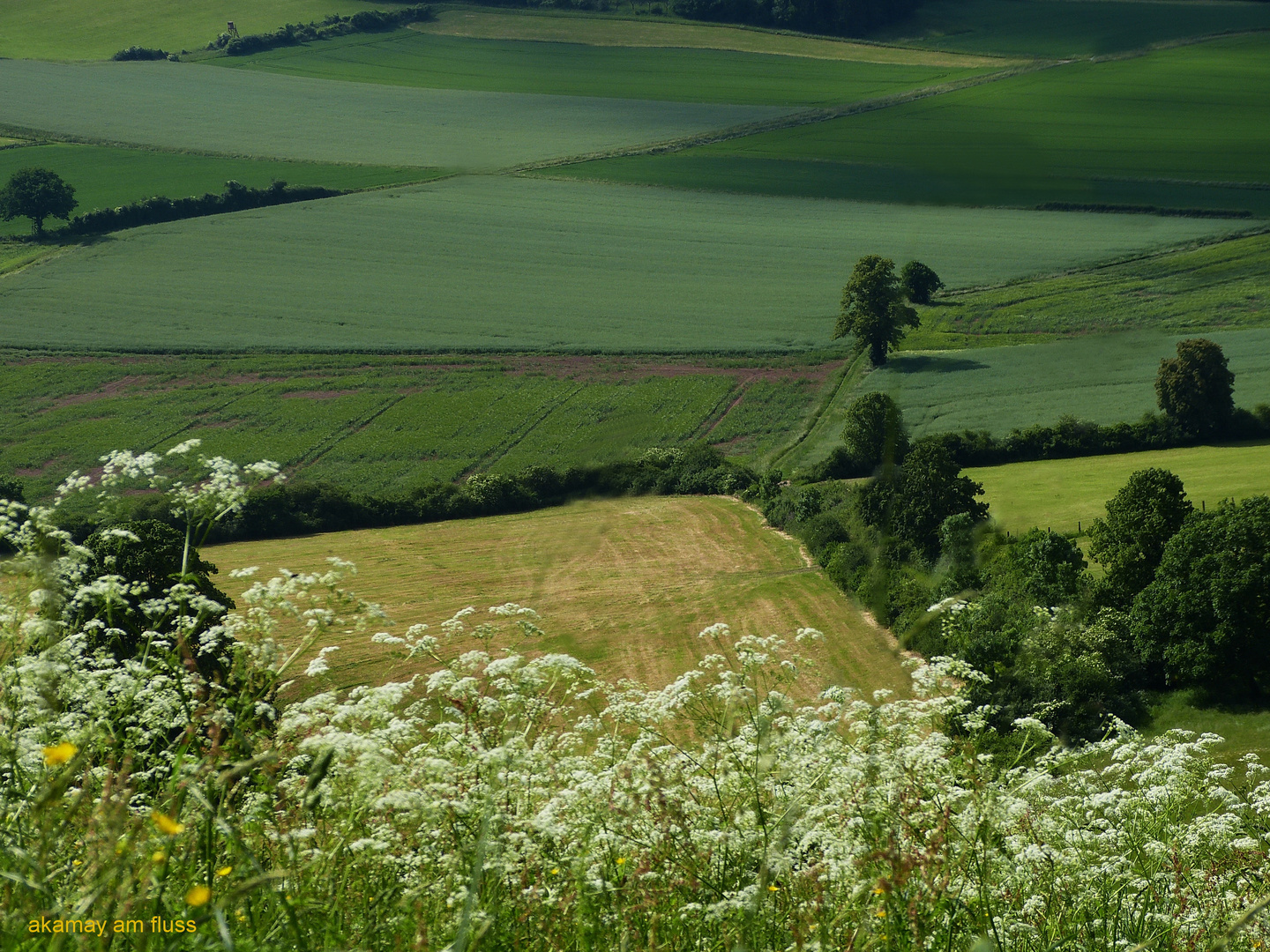 Blick ins Grüne-Burgberg im Naturpark Solling-Vogler