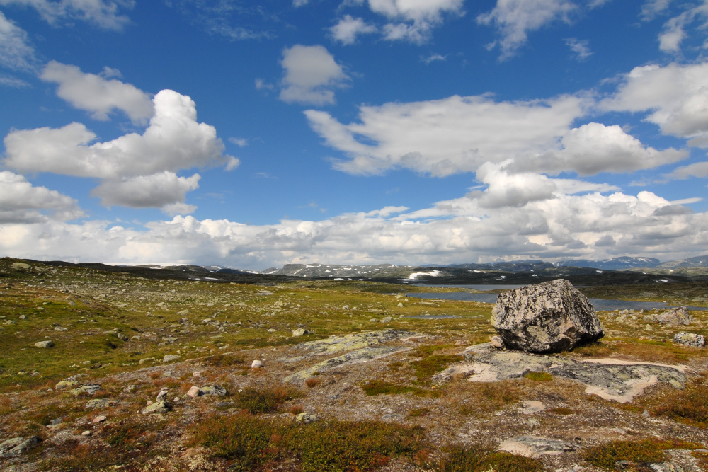 Blick ins Hardangervidda