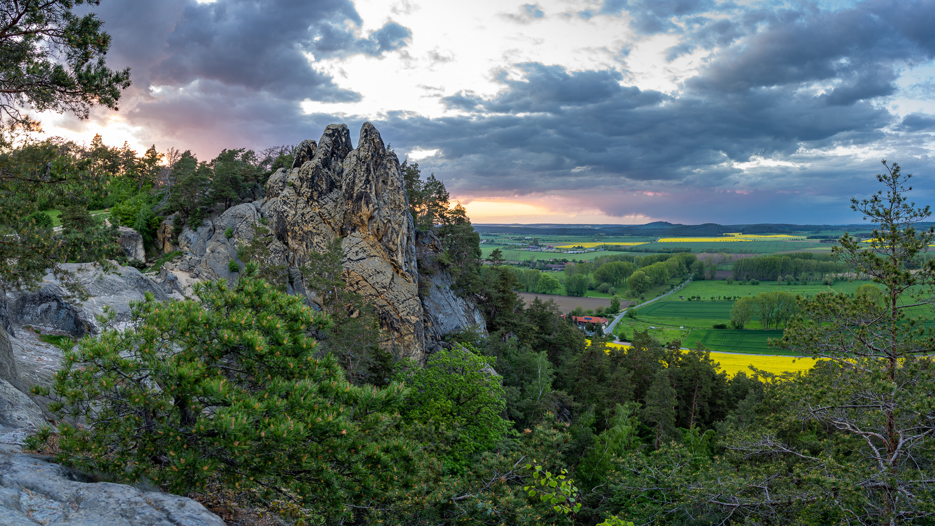 Blick ins Harzvorland vom Hamburger Wappen