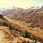 Blick ins herbstliche Fextal 