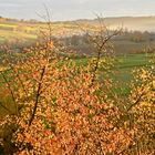 Blick ins herbstliche Kochertal