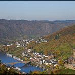 Blick ins herbstliche Moseltal