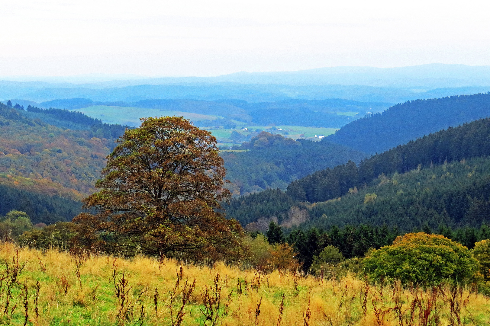 Blick ins Hessische Bergland