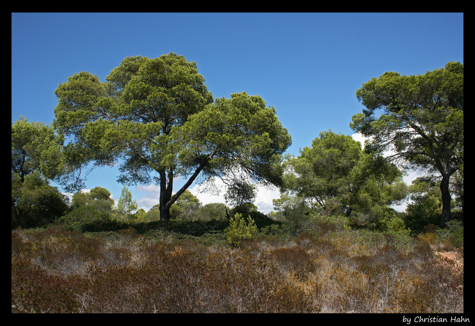 Blick ins Hinterland