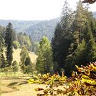 Blick ins Hirschbachtal