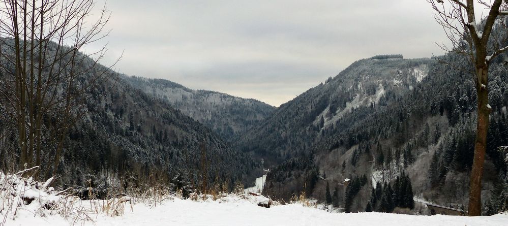 Blick ins Höllental (Südschwarzwald)