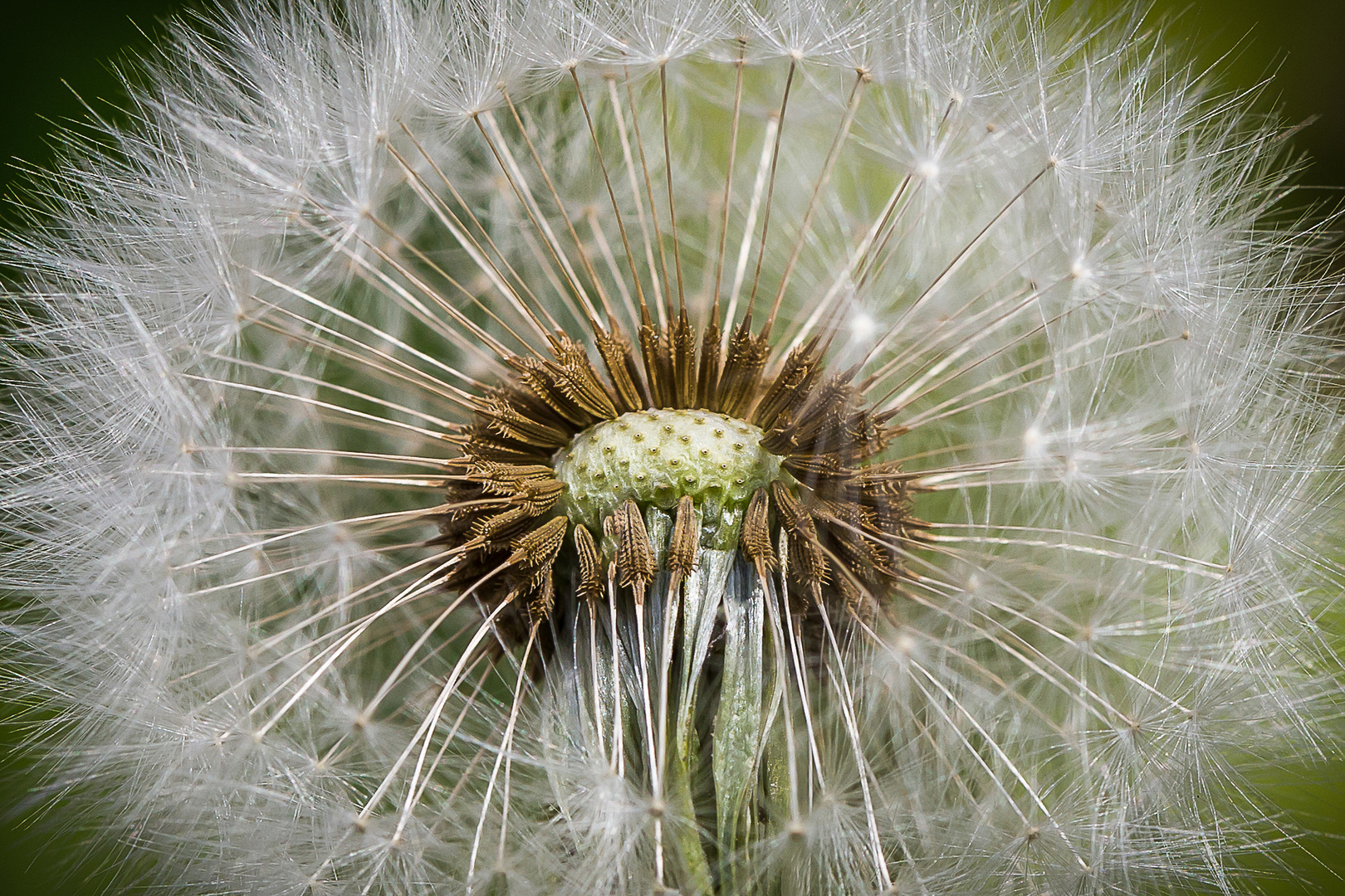 Blick ins innere…