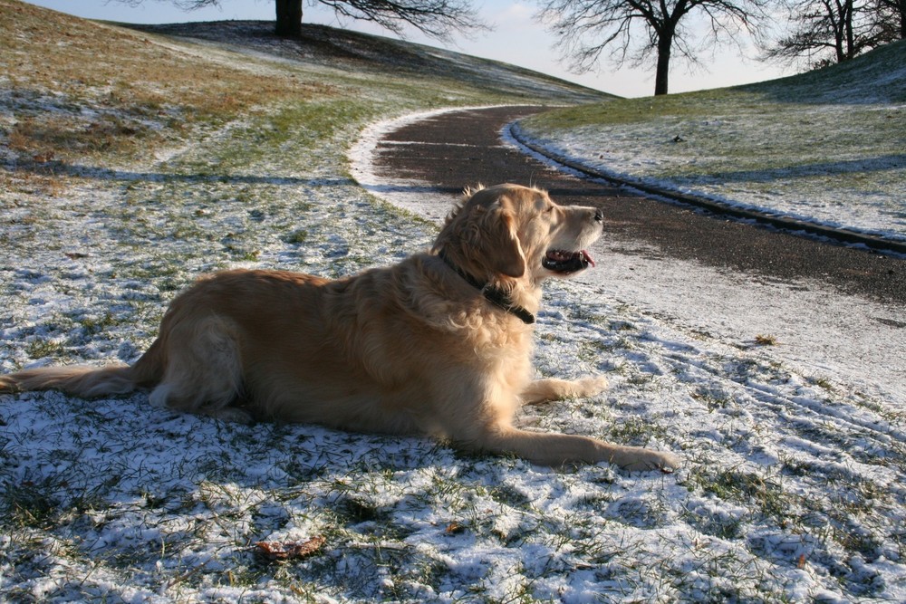 blick ins jahr 2009